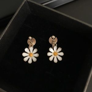 Non Pierced Earrings